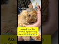 Gak tega bila melihat kucing sakit 😭😭😭#kucing#anakkucinglucu #nizamkucinglucu #kucinglucubandung