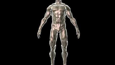 OpenGL Glsl Shader Test