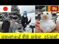 First snowfall in Japan 2021- Fun with Snow, Sula plays with snow for the first time. #Winter ❄