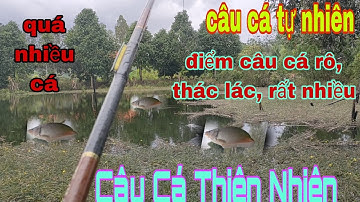 câu cá thiên nhiên√ câu cá thác lác thiên nhiên√điểm câu cá rất nhiều long an@CuongFising