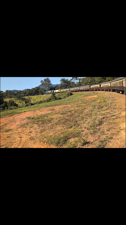 Riding the Kuranda Scenic Railway | Cairns to Kuranda Adventure 🚂🌴