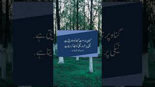 گناہ پر ندامت گناہ کو مٹادیتی ہے ۔نیکی پر غرور نیکی کو تباہ کر دیتا ہے .حضرت علی رضی اللہ عنہ