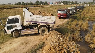 Incredible Filling Land Task! Great Work Of KOMATSU Bulldozer D31PX Push Soils Into Farm Land