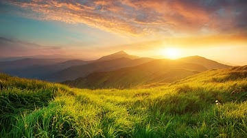 Surah Al Shams Fares Abbad سورة الشمس فارس عباد