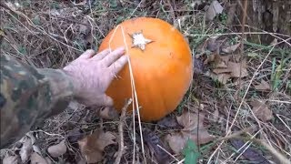 Metal Detecting Adventure: The Great Pumpkin Settlement Hunt