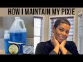 How I maintain and style my relaxed Pixie cut | My Pixie Routine 2021 |  | lisettejanae