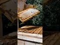 Learn | Grow | Harvest - Griebenouw Bee Farming
