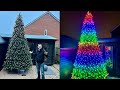 Putting Up Our HUGE Animated Christmas Tree In The Garden!