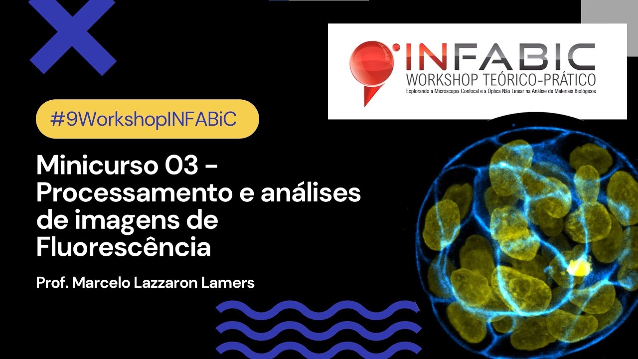 Minicurso 03 - Processamento e análise de imagens de fluorescência - Prof. Marcelo L. Lamers