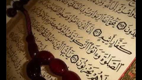 لمن يبحث عن الراحة النفسية  تلاوة رائعة للشيخ فارس عباد