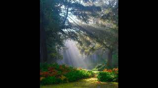 Original Composition - Under a Blissful Sky