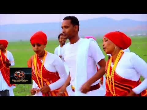 Dhaanto Cusub Liyuu Khadra Cisman Jagnaa 2019 Footage Mixed 
