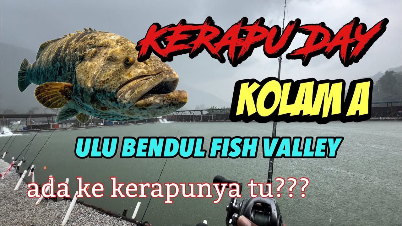 KERAPU DAY | ULU BENDUL FISH VALLEY | 10-9-2024