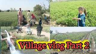 village life vlog part 2| hmara gao kesa h |wania kanwal vlogs |village life in pakistan