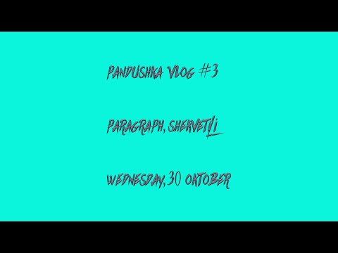 VLOG #3 PARAGRAPH, SHEKVETILI!