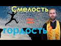 Как стать смелым и не "наломать дров" \ Школьный Максим \