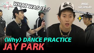 [C.C.] Exhausted JAY PARK's ⟪Why⟫ dance practice #JAYPARK