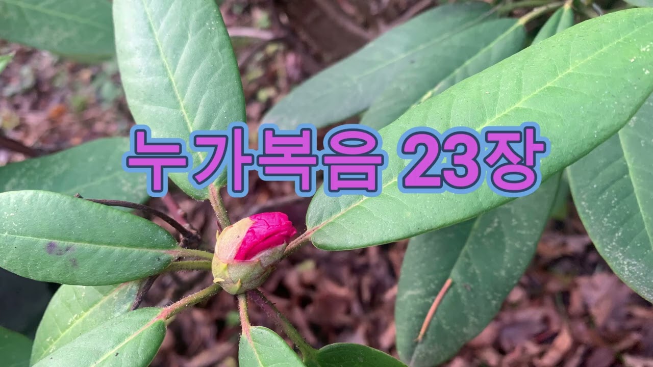 누가복음 23장