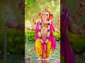 Jai Ganesh deva 🙏 #ganeshbakti #bhajan #bhakti #ganesh
