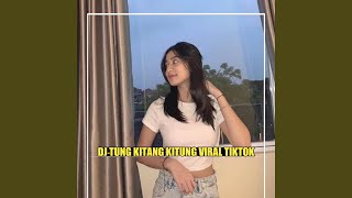 DJ TUNG KITANG KITUNG x AUREL HERMANSYAH (VIRAL TIKTOK)