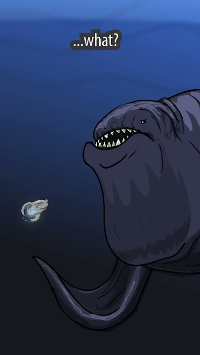 The Bloop Diet #shorts