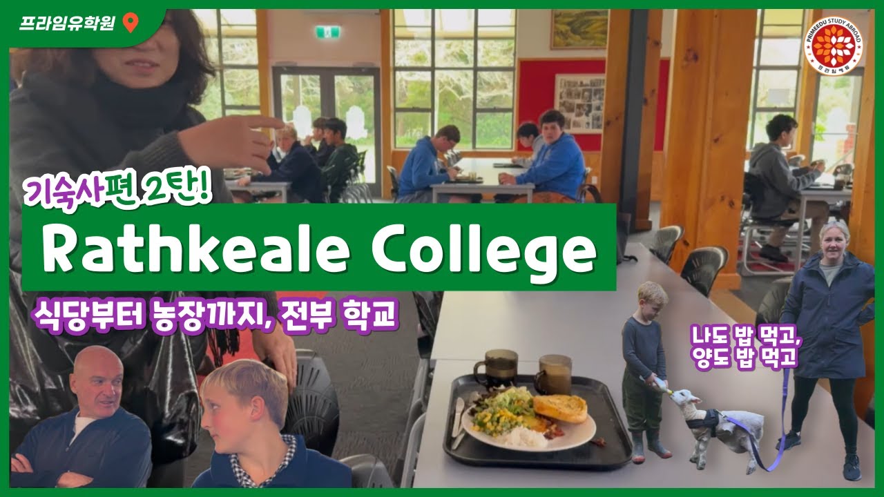 이런 보딩은 처음입니다｜뉴질랜드 시골 보딩의 진짜 일상｜점심 먹고 양에게 우유를 줍니다 ｜깨끗한 식당, 따뜻한 보딩｜자연 속에서 자라는 아이들 #뉴질랜드유학 #뉴질랜드보딩스쿨