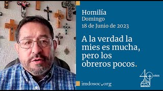 Homilía  Domingo 18 de junio de 2023