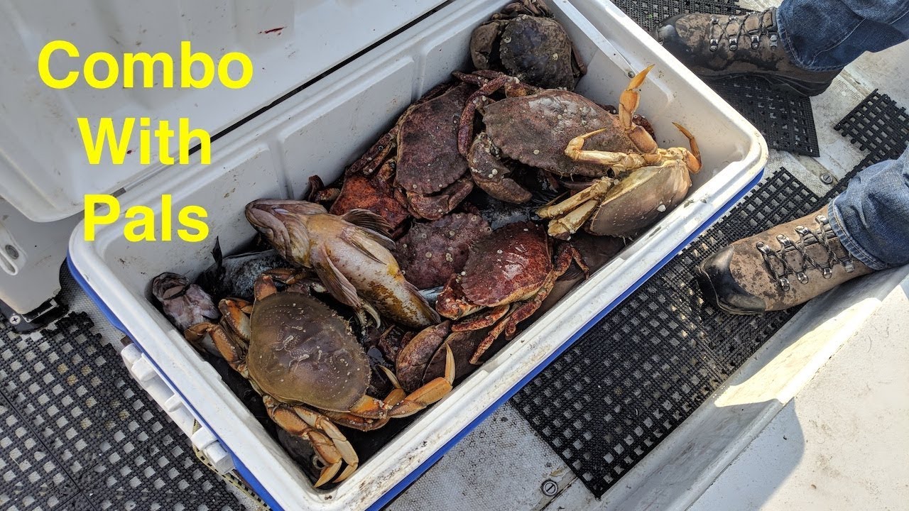 Combo crabbing and fishing with Azhar and friends in Half Moon Bay ...
