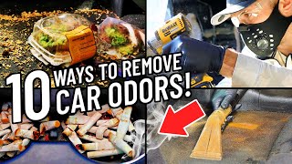 How To Remove Smells & Odors From Your Car | Top Detailing Tips