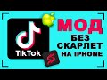 Как скачать новый тик ток на айфон - скачать без scarlet