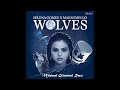 Selena Gomez x Marshmello / Wolves (Italo Disco)