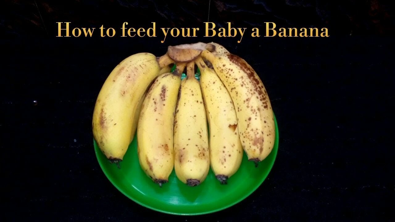How to Feed your Baby a Banana All you need to know abt Banana as