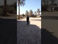 تقليد وادي الذئاب