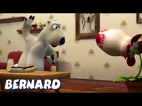 Bernard Bear | HUNGRY Plants AND MORE | Cartoons for Children | Full Episodes