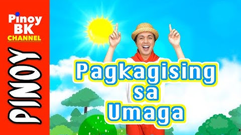 Pagkagising Sa Umaga | Ang Mga Ibon na Lumilipad 2020 | Pinoy BK Channel🇵🇭