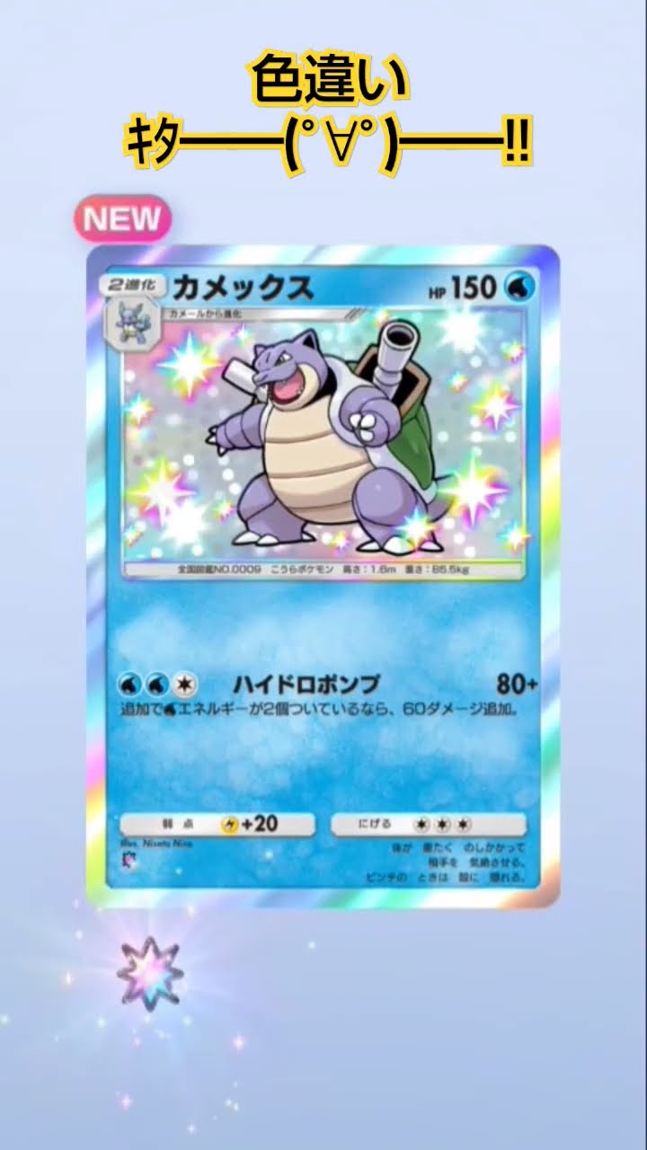 カメックス 色違いがヤバすぎる〜♪ポケポケ開封動画