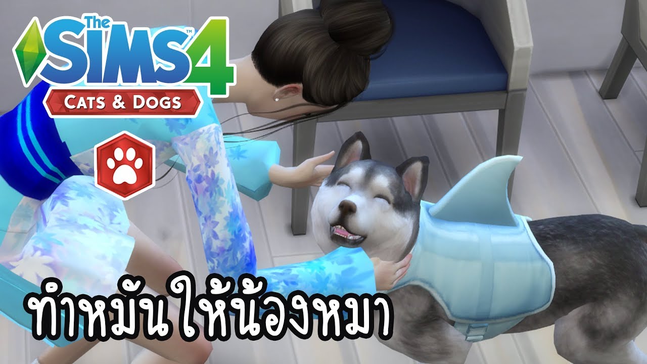 the sims 4 เลี้ยงหมา  Update  The Sims 4 Cats \u0026 Dogs #8 พาน้องหมาไปทำหมัน!! หมาร้อง