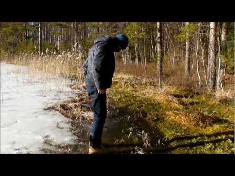 Mini Movie: Spring Is Coming