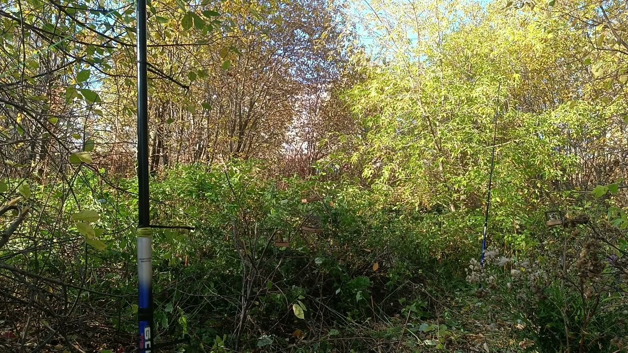 Ловля на воде, первая часть.24.09.2023.