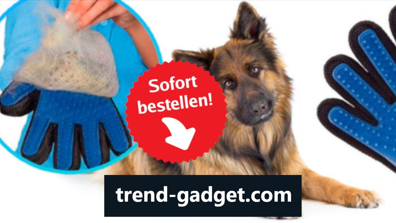 Hochwertiger Fellpflege-Handschuh für Hund & Katze | trend-gadget.com