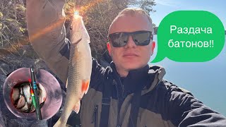 Весенние батоны или ход плотвы в деле!!!#рыбалка #рыбалканаудочку #плотва #чебак#поклевка