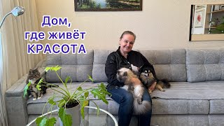 В гостях у Светланы🌸 Морошка, Софа, Челси и цветы🪴