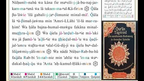 ختمة من مصحف التجويد باللغة الألمانية الصفحة رقم 226