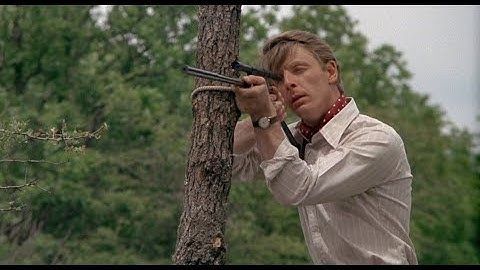 映画 「ジャッカルの日(1973)」のカスタムライフル（日本語吹替版）