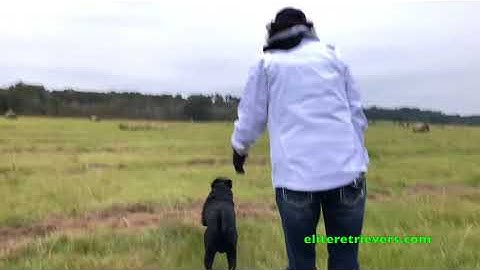 2017 NRC 1st Series  TD#1