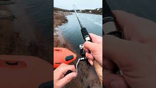 Brown Trout Strike: The Battle Begins!