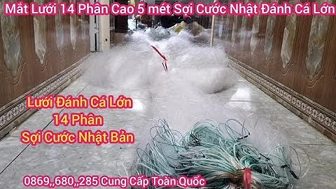 A Chiến Lưới Đánh Cá 14 Phân Cao 5 Mét Sợi Cước Nhật Bản Đánh Bắt Cá Lớn Lưới Đánh Cá 3 Màn