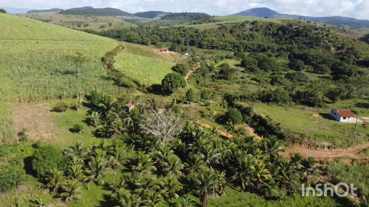 Vende se esse sítio no Eng. Bela vista zona rural Palmares PE  70 mil (081)99883893