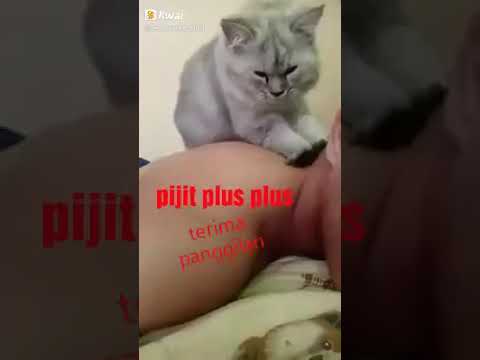 Pijat plus plus spesial