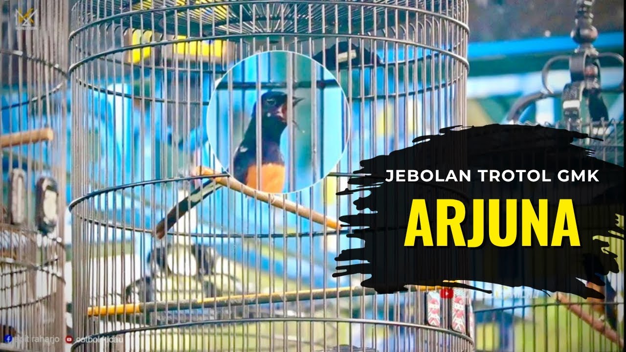Aksi Arjuna Jebolan Trotol GMK di Piala Masterpiece 3